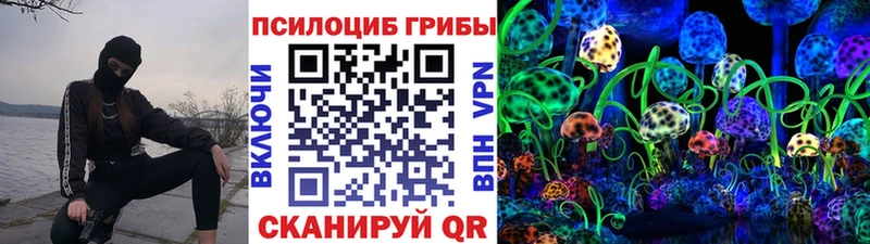 Псилоцибиновые грибы Psilocybe  гидра как зайти  Североуральск  где купить наркоту 
